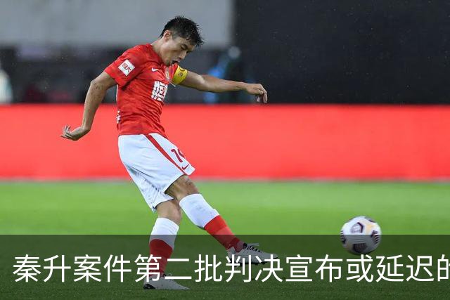 秦升案件第二批判决宣布或延迟的因素分析